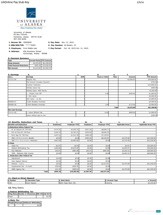 Download University of Alaska pay stub Word and PDF template Photoshop template